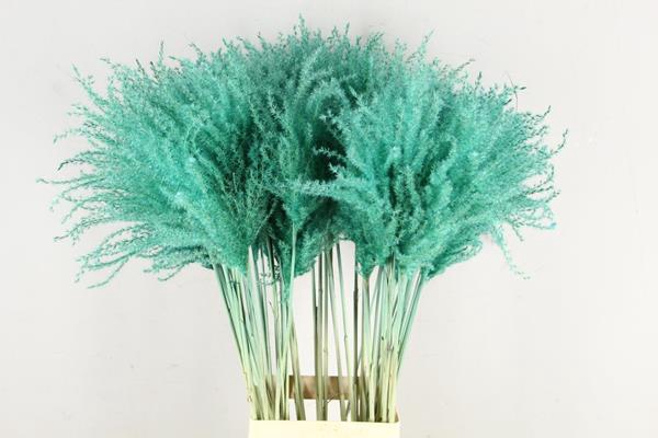 <h4>Df Miscanthus 90cm Aqua</h4>