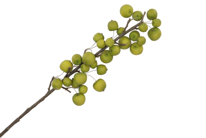 <h4>Silk Apple Sentinel Green 66cm</h4>