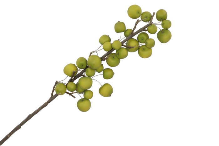 <h4>Silk Apple Sentinel Green 66cm Nm</h4>
