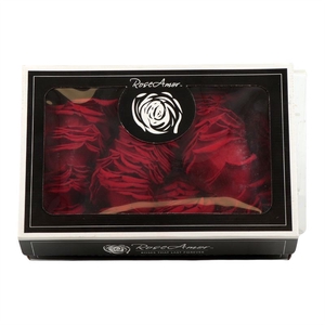 Rosa Preserved Petals Red 02