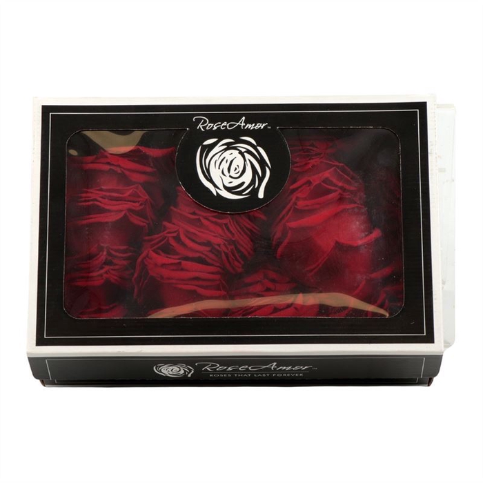 <h4>Rosa Preserved Petals Red 02</h4>