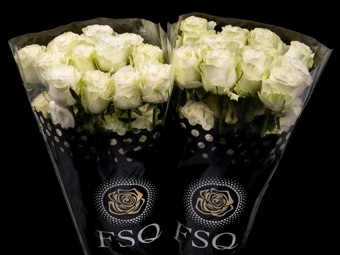 <h4>R GR Siente</h4>