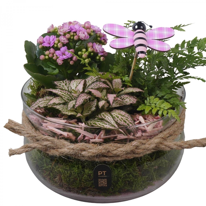 <h4>Arr.    Planten  L%</h4>