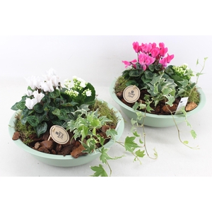 arr4 Outdoor PL - Zink schaal groen Los