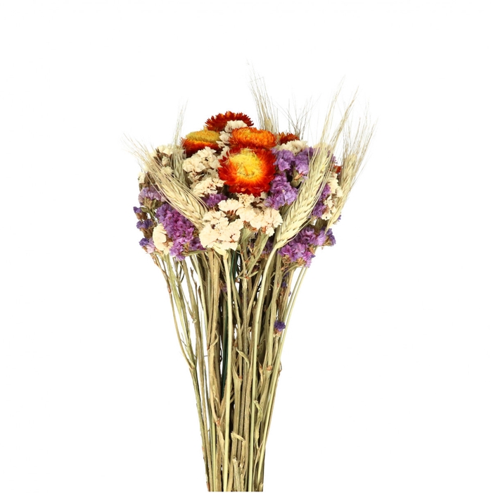 <h4>Dried flowers Bouquet Dutch mix 55cm</h4>