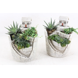 arr3 SN - Hill top house/garden