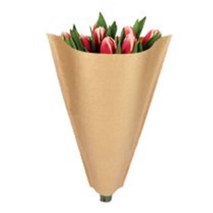 Hoezen Kraft 40*30*12cm x50