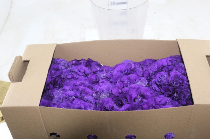 LISIANTHUS FLOR ROXO
