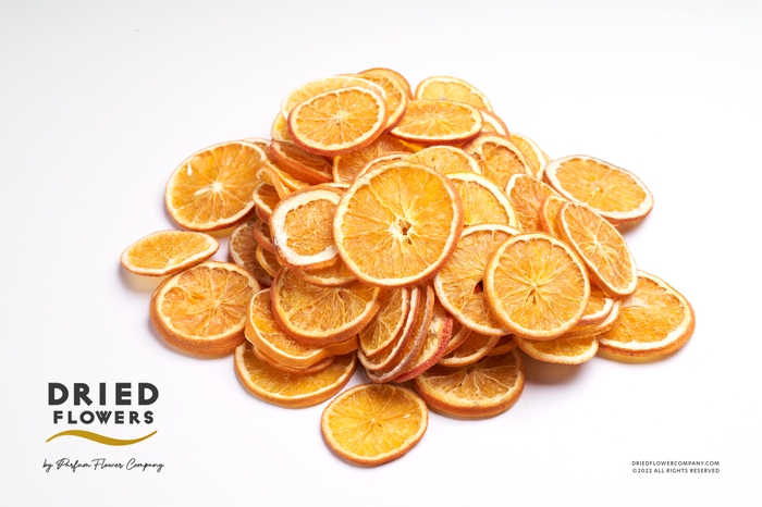 <h4>Dried Deco Orange Slices</h4>