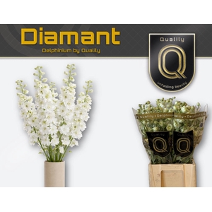 DELPH DU DELP DIAMAN 70CM X40