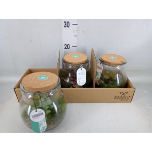 Arr.   Planten L%