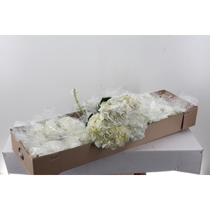 Hydr White Jumbo Box
