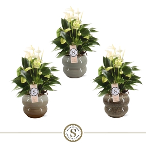 Bocelli Keramiek White 14cm