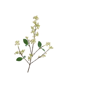 Symphoricarpos Spray LV330081CRM