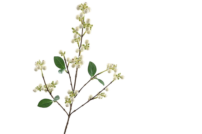 <h4>Symphoricarpos Spray LV330081CRM</h4>