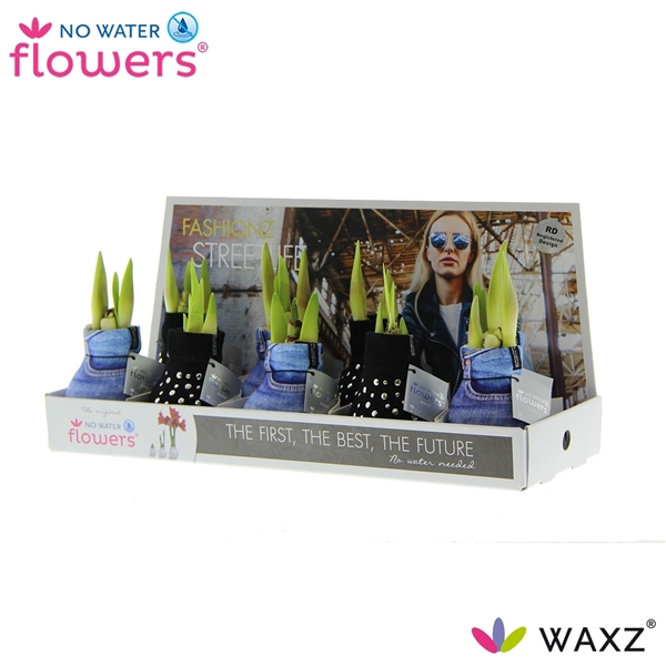 <h4>Hipp Waxz Fashionz Streetlife</h4>