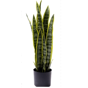 Kunstplanten Pot Sanseveria d16*68cm