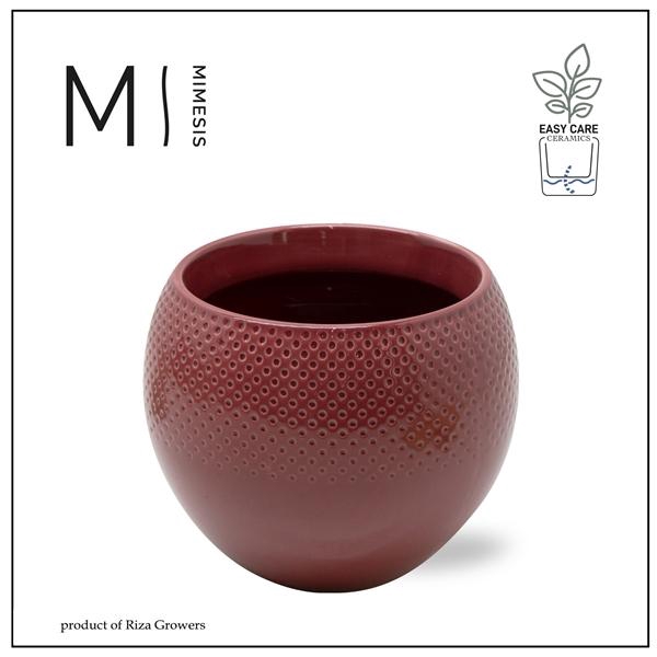 <h4>Karma - SOLO POTS - Lisa Purple 12 cm|</h4>