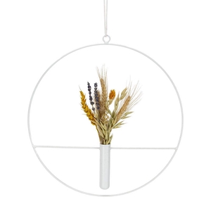 SETARIA PALMIFOLIA hoop