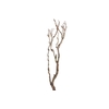 Syringa Branch Extra Huggens