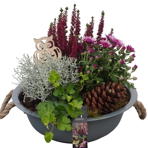 Arr.   Tuinplanten L%