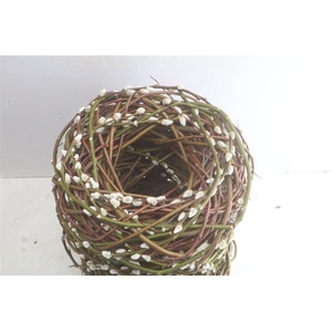 Salix Wilgen Krans 35cm