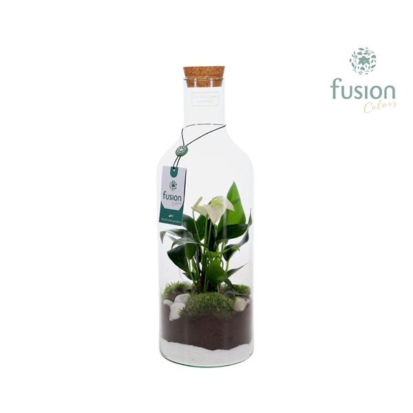 Green Bottle Fles Medium met Anthurium