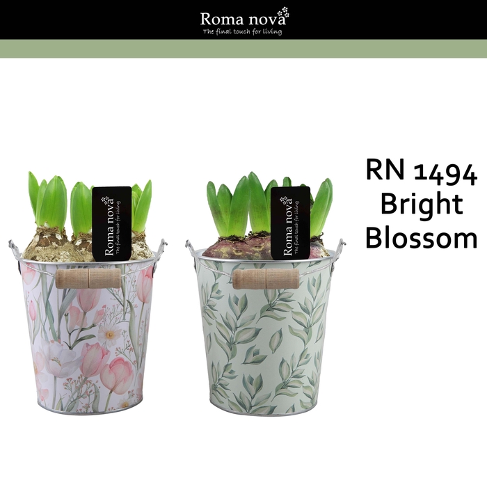 <h4>Hya Rom 1494 Bright Blossom</h4>