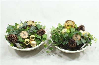 <h4>0748 Zink Goud Hedera</h4>