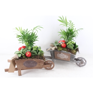 arr2 TD - Houten kruiwagen - wit