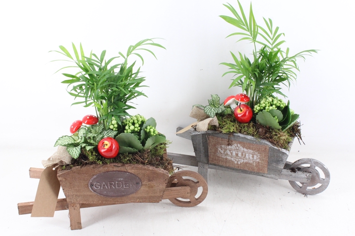 <h4>arr2 TD - Houten kruiwagen - wit</h4>