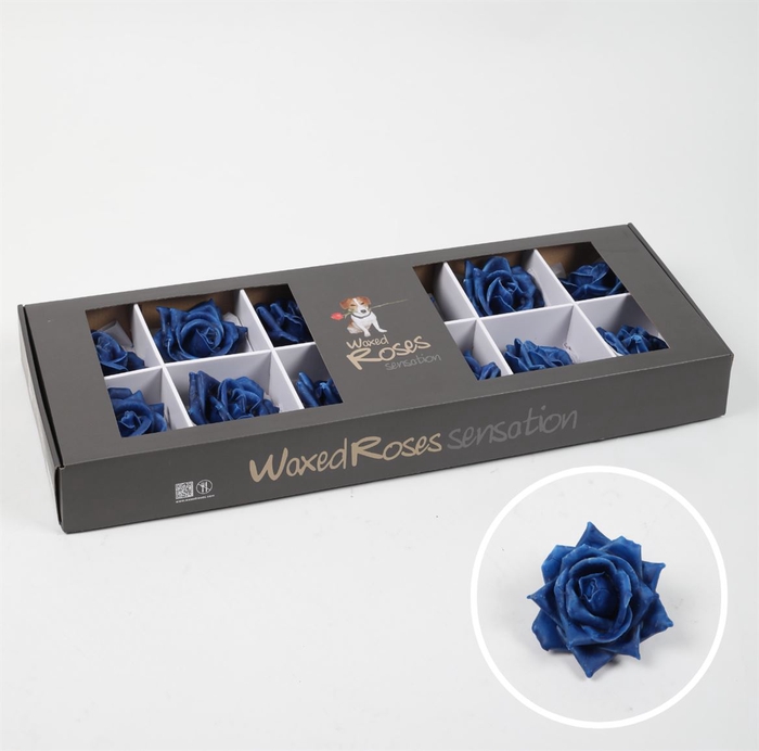 <h4>R Zijde Wx (bl) Blauw</h4>