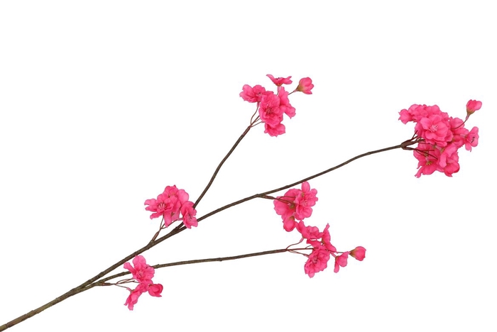 <h4>Silk Cherry Blossom Pink 85cm</h4>