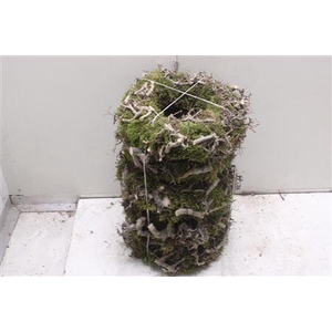 Krans Moss Bonzai 30cm