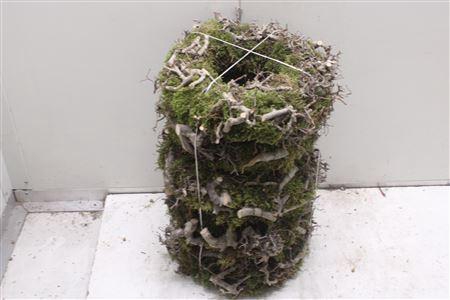 <h4>Krans Moss Bonzai 30cm</h4>
