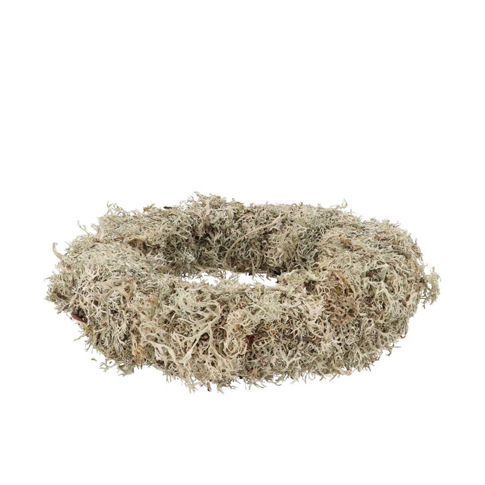 <h4>Nature Wreath Dry White Moss 40cm Nm</h4>