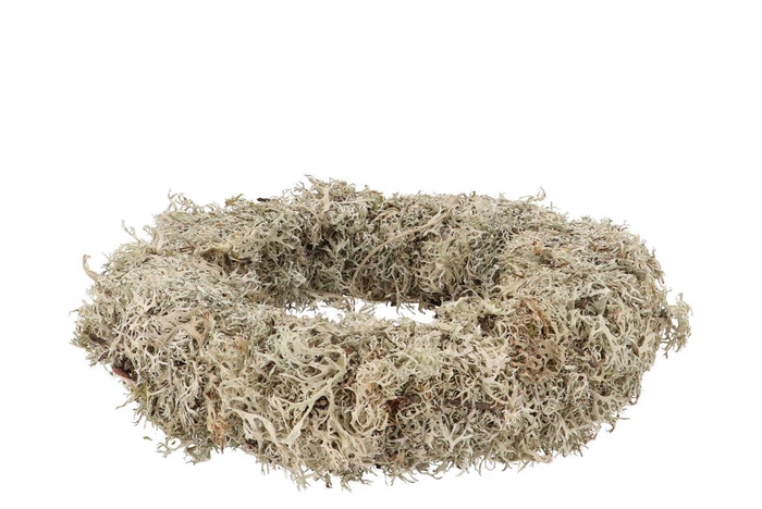 Nature Wreath Dry White Moss 40cm Nm