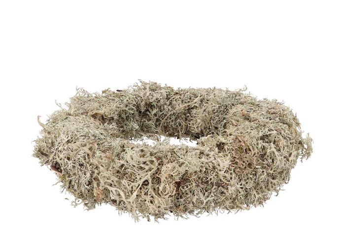 <h4>Nature Wreath Dry White Moss 40cm</h4>