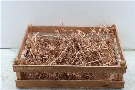 <h4>BONSAI WOOD COPPER P CRATE</h4>