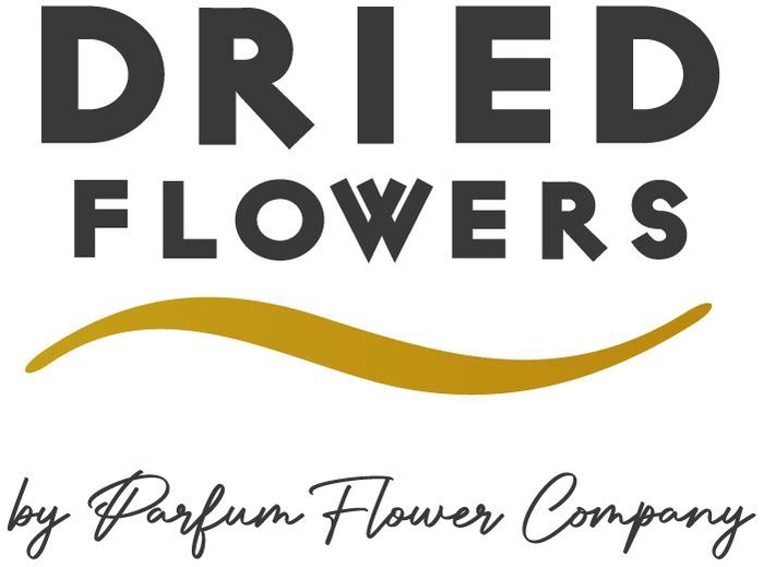 <h4>Dried Bleached Ammi Majus Pink</h4>