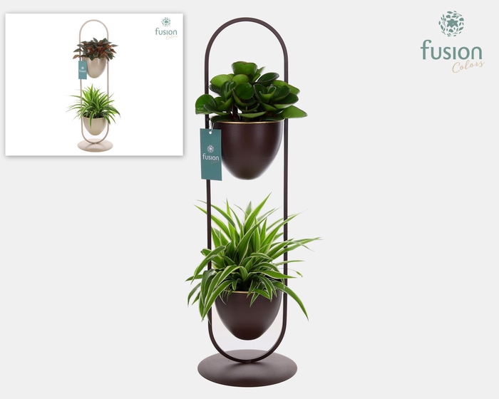 <h4>Rek metaal met 2 potten div. kleuren met groene planten</h4>