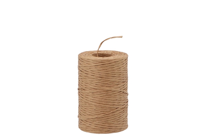 <h4>Ribbon Paper Binding Wire Natural 205 Meter</h4>