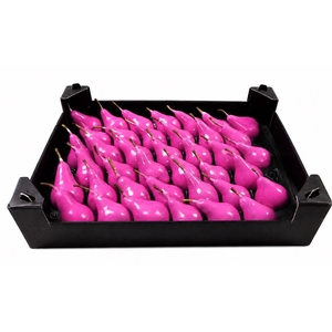Waxpeer Fuchsia