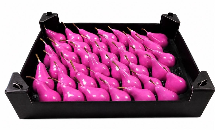 <h4>Waxpeer Fuchsia</h4>