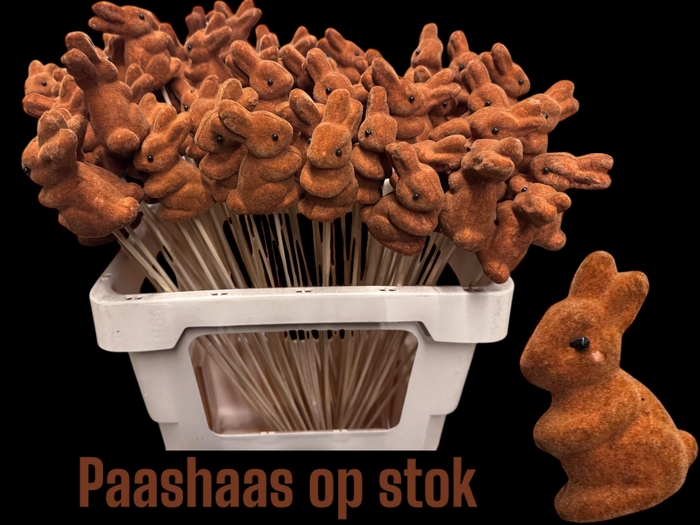 <h4>HUIS EN TUINDECO H%</h4>