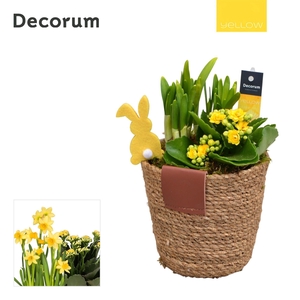 Calandiva & Narcis Basket & Leather Label HL22985 [YELLOW]