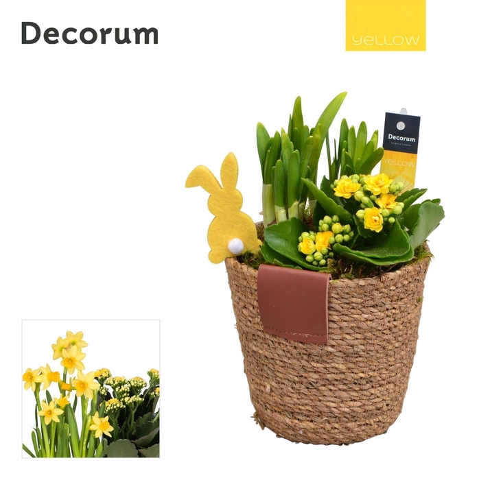 <h4>Calandiva & Narcis Basket & Leather Label HL22985 [YELLOW]</h4>