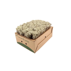 Mos Ijslands Mos Hard