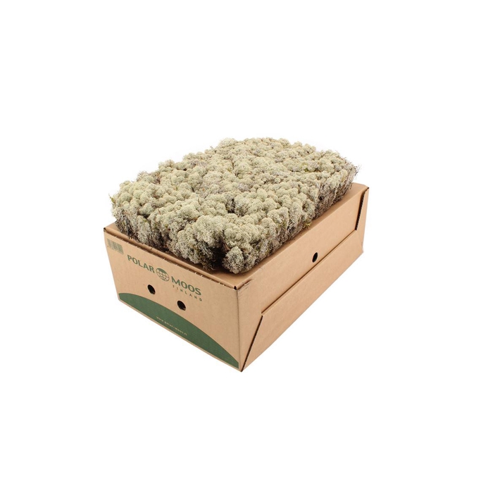 <h4>Mos Ijslands Mos Hard</h4>