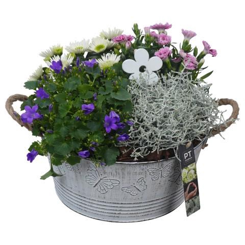 <h4>PTSO6010 Arrangement Summer Outdoor in metalen bak</h4>